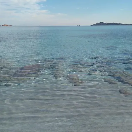 Magibac * Olbia